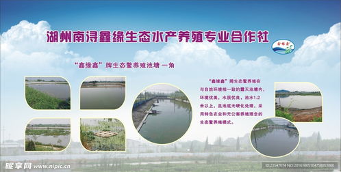 守護碧水清波 生態水產養殖專業合作社的水環境污染防治服務