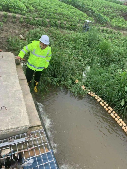 環境守護者丨保護碧水藍天 共建美好家園