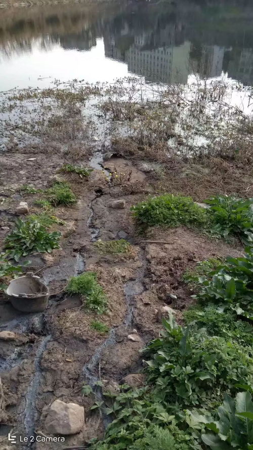 守護清流 從南部神壩鎮疑似污染事件看水環境污染防治的緊迫性與路徑
