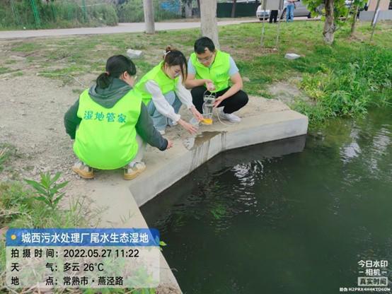 美翻了 污水廠用尾水養出生態濕地